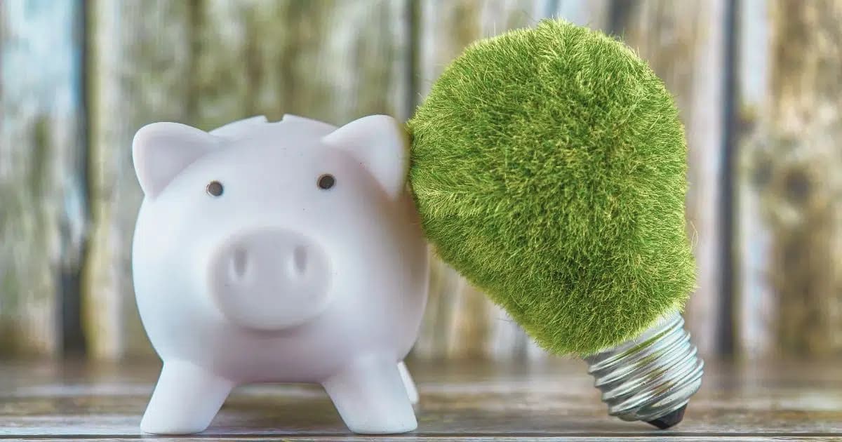 Jak na udržitelné investování a přístup k životu